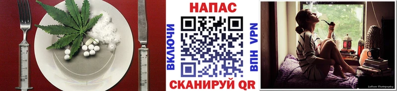Canna-Cookies конопля Дагестанские Огни