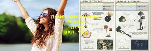 наркотики Белоозёрский