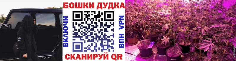 гидра ТОР  Дагестанские Огни  Шишки марихуана OG Kush 